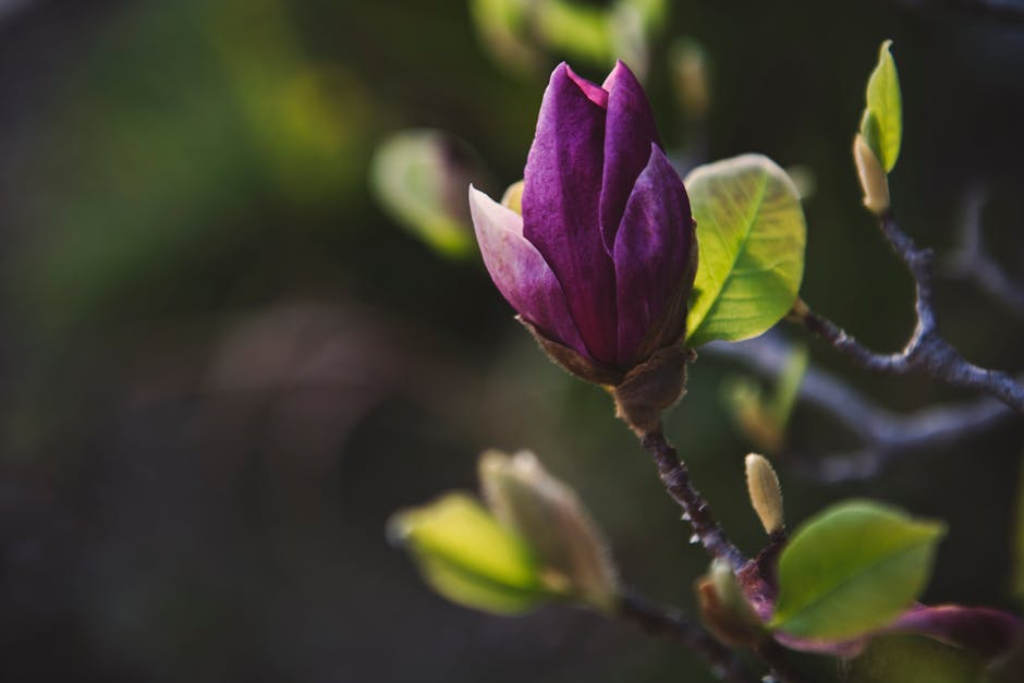 Landscaping Link Building: Real Strategies That Actually Work